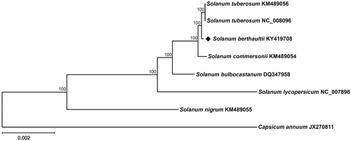 Figure 1. Maximum-likelihood phylogenetic tree of S. berthaultii with eight species belonging to the Solanaceae based on chloroplast protein-coding sequences. Numbers in the nodes are the bootstrap values from 1000 replicates.