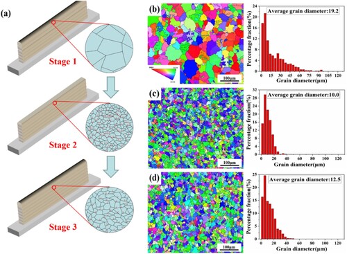 Figure 10. Microstructure evolution process and grain orientation and size distribution at corresponding stages (a) Microstructure evolution diagram (b) AM top layer (c) AMH-300 top layer (d) AMH-300 top.