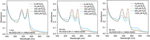 Figure 6.  Absorbance spectra of hemoglobin (10µM) in PolySFHb following H2O2 addition of 10, 100, 500, and 1000 µM.