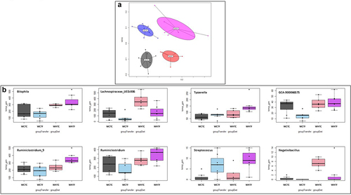 Figure 8. Impact of HFD on microbiota analysis in WT mice transplanted with WT or fat-1 microbiome.