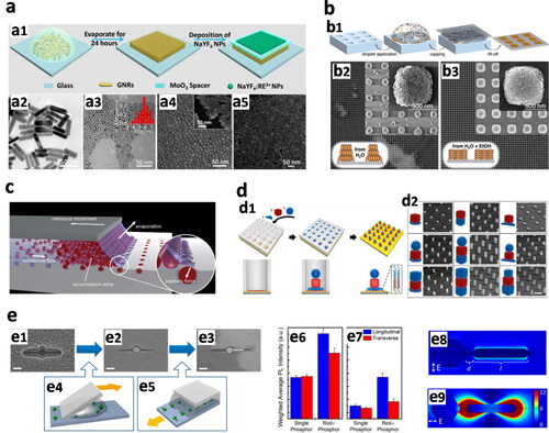 Figure 7. (a) Controlled-evaporation self-assembly. (a1) Schematic of the process: a drop of AuNR dispersion is evaporated under controlled conditions, originating a vertically aligned monolayer of Au nanorods, followed by the deposition of NaYF4:Yb3+, Er3+ upconversion nanoparticles (UCNP), separated by a MoO3 spacer. (a2) TEM images of Au nanorods and (a3) UCNP. (a4) SEM images of vertically aligned Au nanorods (insert, side view) and (a5) random aggregates of Au nanorods (Yin et al., Citation2016). (b) Template-controlled self-assembly. (b1) Schematic depicting a drop of AuNP dispersion confined between the PDMS mold and the substrate; upon drying and PDMS lift-off organized supercrystals are obtained. (b2) SEM images of standing AuNRs obtained when dispersed in water or (b3) laying AuNR supercrystal arrays when dispersed in a water/ethanol mixture (Hanske et al., Citation2019). (c) Schematic of capillary-assisted self-assembly, AuNPs are directed and trapped into template cavities by capillary forces (Ni et al., Citation2018). (d) DNA-assisted self-assembly. (d1) Schematic of polymer PMMA holes and sequential assembly of ssDNA-modified AuNPs with complementary sequences. (d2) SEM images of two- and three-layer stacks of AuNP superlattices (scale bar: 300 nm) (Lin et al., Citation2018). (e) Templated self-assembly of heterodimers composed of UCNP and AuNR on a silicon substrate. SEM images of (e1) empty cavities, (e2) single UCNP, and (e3) heterodimer UCNP/AuNR in SiO2 template (Scale bars: 100 nm). (e4) Schematic of UCNP assembly with ‘squeegee method’ and (e5) AuNRs positioned in the cavities by capillary-assisted assembly. (e6) Inverse-variance weighted average photoluminescence (PL) intensity for a power density of 1.6 × 106 W/cm2 and (e7) 1.6 × 105 W/cm2. (e8) simulated transverse and (e9) longitudinal excitation polarization field intensity enhancement maps (Greybush et al., Citation2014).