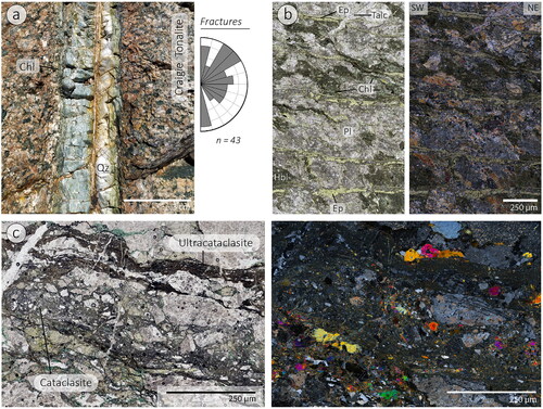 Figure 10. (a) Field photo of a centimetre-thick vein filled with chlorite (Chl), epidote (Ep), and quartz (Qz), and a rose diagram showing strike orientations of fractures and veins. (b) Photomicrographs (plane and cross-polarised) of chloritic–epidote alteration in the Craigie Tonalite. (c) Photomicrographs (plane and cross-polarised) of cataclasite and ultracataclasite zones, which occur parallel to the ductile structural fabrics in the Craigie Tonalite.