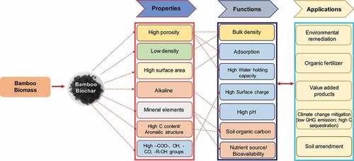 Figure 2. Framework for understanding the effects of bamboo biochar application on soil properties and climate change mitigation.