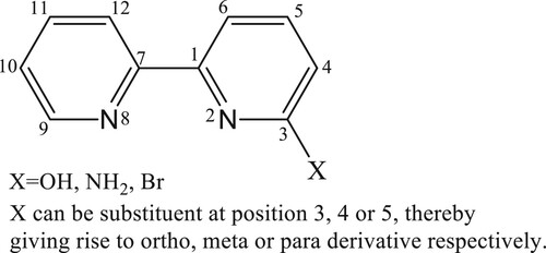 Scheme 1. Atom numbering of 2,2′-bipyridine derivative.