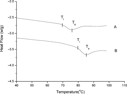 Figure 2 DSC profiles of β-conglycinin (20% w/v) in 50 mM phosphate buffer (pH 7). A: without NaCl; B: with 0.5M NaCl.