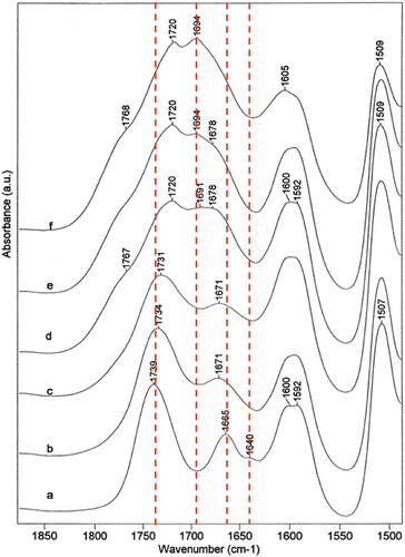 Figure 1. FT-IR spectra of hydrothermally degradation (humidity 100%, temperature = 100 °C). Sample: (a) starting sample; (b) after 2 days; (c) after 8 days; (d) after 10 days; (e) after 12 days; (f) after 15 days. Figure modified from[Citation17] with permissions of Elsevier.