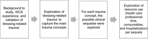 Figure 1 Qualitative interview structure.