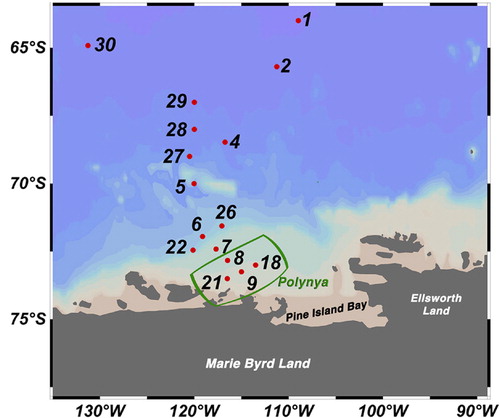Fig. 1 Location of stations sampled for tintinnids. The green box distinguishes the polynya stations (following Lee et al. Citation2012).