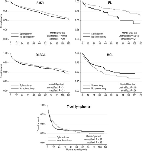 Figure 3. Simon-Makuch curves for overall survival of patients with splenic B-cell lymphomas, stratified by histology and receipt of splenectomy. p-Values are derived from Mantel-Byar tests, unstratified, or stratified by age, sex, stage, and comorbidity index.DLBCL: diffuse large B-cell lymphoma; FL: follicular lymphoma; MCL: mantle cell lymphoma; SMZL: splenic marginal zone lymphoma