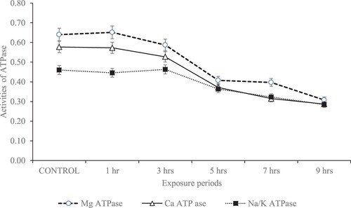 Figure 3. Membrane-bound enzyme activity (µg pi liberated/min/mg protein) in the kidney of rats subjected to varying hours of daily gasoline fumes exposure.