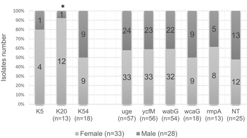 Figure 1 Distribution of capsular serotypes and capsule-associated virulence genes among the isolates collected from male and female specimens.Note: *Higher prevalence of K20 serotype was found in the clinical specimens collected from females in comparison to males (p-value = 0.02). NT: the isolates that did not belong to the K1, K2, K5, K20, K54, or K57 serotype.Abbreviations: K, capsular polysaccharide (K antigen); NT, non-typeable.