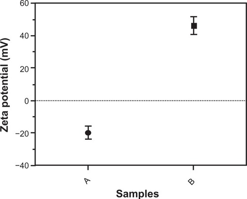 Figure 4 Zeta potential of nanoparticles by a Malvern Zetasizer Nano instrument. (A) Uncoated iron oxide nanoparticles and (B) chitosan-coated iron oxide nanoparticles.