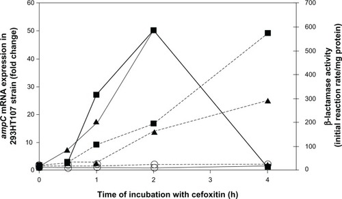 Figure 1 Kinetics of ampC transcription and β-lactamase activity in Enterobacter cloacae 293HT107. E. cloacae strain 293HT107 was incubated with cefoxitin at 1 mg/L (triangles), 2 mg/L (squares), or in control medium (open circles). After 0.5, 1, 2, and 4 hours of culture, ampC messenger ribonucleic acids (mRNA) were quantified by real-time polymerase chain reaction (continuous lines; values show fold change in comparison with transcription level before incubation), and β-lactamase activity was measured spectrophotometrically (dashed lines).