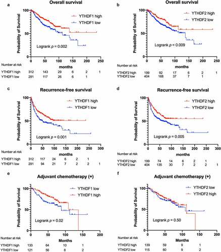 Figure 3. Survival curves according to YTHDF1 and YTHDF2 expression in patients with non–small-cell lung cancer (NSCLC)