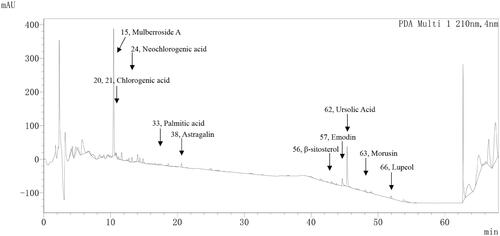 Figure 5. Chromatogram of liquid phase mass spectrum peaks for separation and identification of Cortex Mori granules.