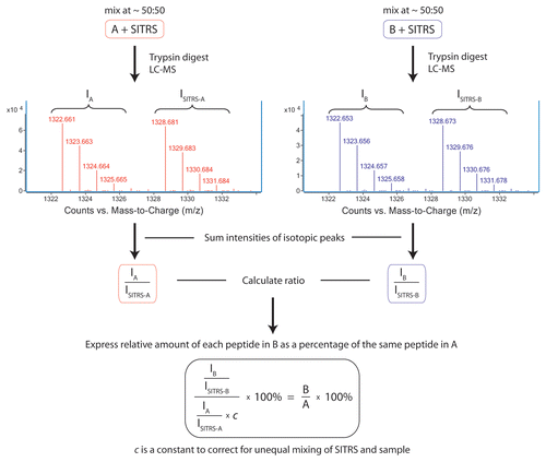 Figure 1 Schematic diagram of a stable isotope-tagged reference standard experiment.