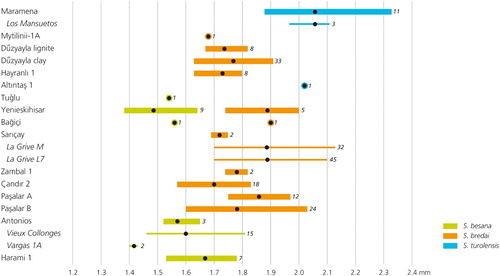 FIGURE 10. Ranges and mean values of the length of M1/2 in assemblages of Spermophilinus (cf.) besana, S. (cf.) bredai, and S. (cf.) turolensis from southeastern Europe and Anatolia. Data from the literature (see Table 6 for references) and this study. The numbers of teeth on which values are based are indicated next to the horizontal lines and dots. Kaplangı 1 and Kastellios K1 did not yield M1/2s. No measurements are available for the species from Silata. For Paşalar, two sets of data are given: those provided by Peláez-Campomanes and Daams (Citation2002) (Paşalar B) and those from this study (Paşalar A). For comparison, this figure includes measurements of M1/2 in the type collections of S. besana (Vargas 1A, Spain; MN 4) (Cuenca Bescós, Citation1988), and S. turolensis (Los Mansuetos, Spain; MN 12) (De Bruijn and Mein, Citation1968). In addition, values for M1/2 of S. besana from Vieux Collonges (France; MN 4 and MN 5) are included (cf. Fig. 9). For S. bredai, measurements of M1/2s from La Grive L7 and M (France; MN 7) are used.