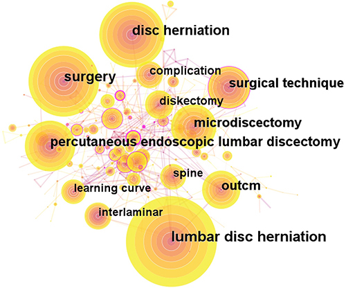 Figure 9 Map of keywords researching PELD for lumbar disc herniation from 2013 to 2022.