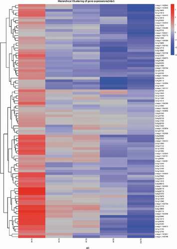 Figure 5. Heat map for the expression profiles of Valencia orange R genes during the infection by P. italicum. Blue and red bars represent low and high expression levels based on the number of transcripts, respectively.