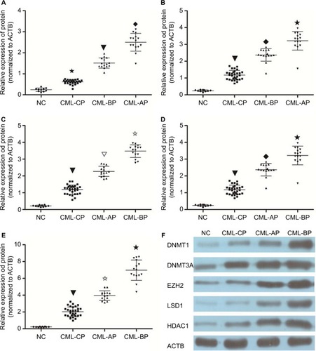 Figure 2 Protein level in different phases of CML and healthy donors.Notes: Protein levels were assayed by WB. (A) DNMT1 protein level was higher in AP and BP than in CP and healthy donors (★▼◆ P<0.05). (B) DNMT3A protein level was higher in AP and BP than in CP and healthy donors (▼◆★ P<0.05). (C) Protein level of HDAC1 was higher in AP and BP than in CP and healthy donors (▼▽✩ P<0.05). (D) Protein level of LSD1 was higher in AP and BP than in CP and healthy donors (▼◆★ P<0.05). (E) EZH2 protein level was higher in AP and BP than in CP and healthy donors (▼✩★ P<0.05). (F) Protein expression in bone marrow (BM) cells from CML patients and normal controls. Protein expression level was determined by immunoblotting with ACTB (b-actin) as a control.Abbreviations: AP, accelerated phase; BP, blast phase; CML, chronic myeloid leukemia; CP, chronic phase; NC, negative control; WB, Western blot.