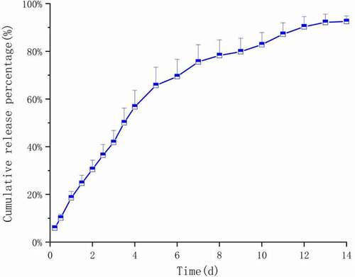 Figure 14. In vitro release curve of PLGA microspheres containing Ticagrelor