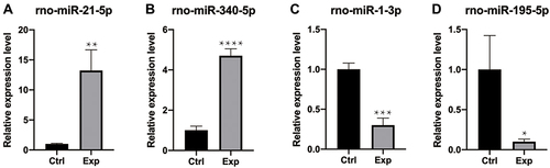 Figure 5 RT-qPCR verification. Compared with the control group (ctrl), (A and B) rno-miR-21-5p and rno-miR-340-5p were up-regulated; (C–D) rno-miR-1-3p and rno-miR-195-5p were down-regulated. The data were normalized using the mean ± standard error of the mean (SEM). *P ≤0.05, **P ≤0.01, ***P ≤0.001, ****P ≤0.0001.