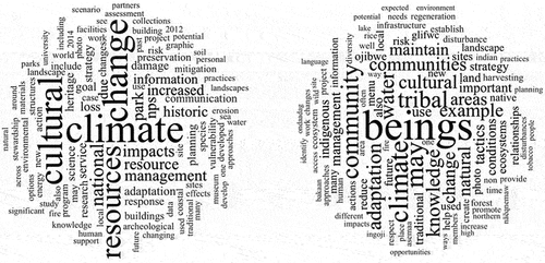 Figure 1. Word clouds depicting word frequency in the CRCCS (left) and TAM (right)