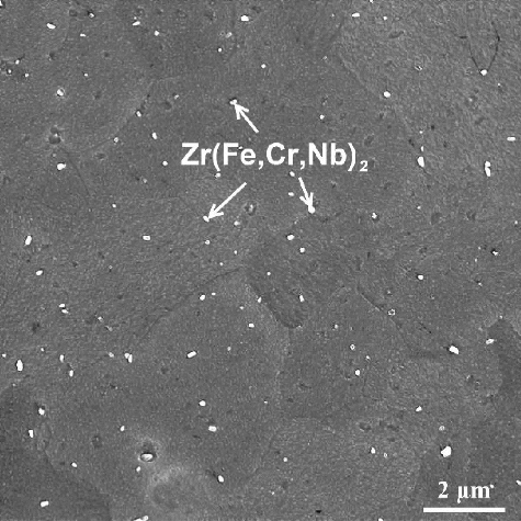 Figure 1. The microstructure of the Zr–Sn–Nb alloy.