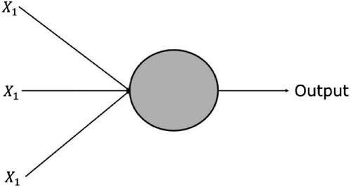 Figure 4. The neural networks (Rosenblatt Citation1958).
