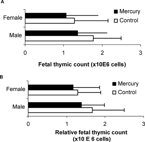 FIG. 1 Enumeration of (A) total and (B) fetal body weight-adjusted thymic cell counts of gestational day 16 fetus pooled from 2 independent timed-breeding experiments.