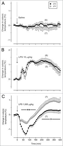 Figure 1. Deep (colonic) Tb responses of J/J and J/+ rats to the low (10 μg/kg, iv) and high (1,000 μg/kg, iv) doses of LPS. (A) Administration of the vehicle (saline) does not affect Tb in rats. (B) The low dose of LPS causes polyphasic fevers in J/J and J/+ rats, without any significant differences between the genotypes. (C) In J/+ rats, the high dose of LPS induces early hypothermia followed by late fever. In J/J rats, the hypothermic response is exaggerated, and the subsequent febrile response is attenuated, as compared to the J/+ controls. Time periods corresponding to significant intergenotype differences in the response to LPS are marked as * (P < 0.05) or ** (P < 0.01).