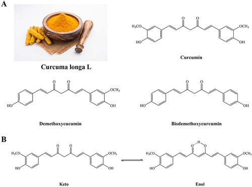 Figure 2 (A) Structural formulae of the three main curcumin-like compounds extracted from turmeric. (B) Mutual isomers of curcumin.