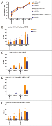 Figure 3. Antibody response induced by 2 different delivery mode of vaccination. (A) Serum anti-HA IgG responses measured by ELISA against HA as the coating antigen from H1N1pdm09, 1968 H3N2 and a swine H1N2 isolate, heterologous to the DNA vaccine. Group I was immunized by i.d. and electroporation with influenza genes inserted into the pSSI vector. Group II was immunized by needle-free IDAL® with influenza genes inserted into the pSSI vector. (B-E) Vaccine induced hemagglutination inhibition antibody responses in rabbit sera against (B) H1N1pdm09, (C) 1968 H2N3, (D) swine H1N1 and (E) swine H3N2 isolates were measured. The HI titers are given as the geometric mean titer. The arrows indicate vaccination time points and each curve or bar represents the mean with SEM of each group of 4–5 rabbits.