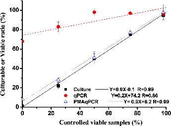 FIG. 3. Correlations between controlled viable samples and culturable (or viable) ratios assessed using the culture, qPCR, and PMA-qPCR assays. Three different controlled viable samples (75%, 50%, and 25%) were prepared from the 0% (heat-killed) and 100% (without heating) controlled viable samples. For each of the five controlled viable samples, the culturable (or viable) ratios of MSSA cells were defined as the average MSSA concentrations determined by culture, qPCR, and PMA-qPCR analyses divided by those of the 100% controlled viable samples. The experiments were performed in triplicate, and the data are shown as the mean ± standard error of the mean.