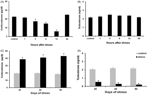 Figure 9. Corticosterone (A) and testosterone levels (B) in males exposed to acute stress. No changes were detected in any of these hormones. (C) Corticosterone levels in males exposed to chronic stress showed a significant increase when compared with the control group. (D) Testosterone levels were significantly lower when compared with the control group. Data shown as mean ± SEM. Two-way ANOVA and Newman-Keulls analysis; *p < 0.01 vs. control groups.