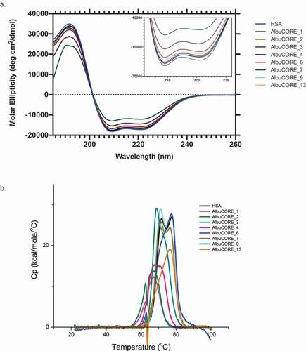 Figure 3. A. Far UV CD spectra (a) and DSC thermograms (b) of HSA and the eight AlbuCORE scaffolds. A. The inset shows a zoomed in view of the characteristic CD alpha-helix double bands between 200–230 nm. B. DSC thermograms for samples treated with 20 molar equivalents of sodium octanoate at 60°C O/N. The first transition at lower temperature (Tm1) was used to compare each of the AlbuCORE scaffolds with HSA, as reported in Table 2