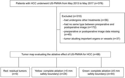 Figure 1 Flow diagram shows exclusion criteria in ablative effect of patients with HCC after US-PMWA assessed by tumor map.Abbreviations: HCC, hepatocellular carcinoma, US-PMWA, ultrasound-guided percutaneous microwave ablation.