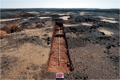 Figure 6. Overview photograph looking south of trench M2-M4-M5 showing the plateau top dotted with sediment traps.