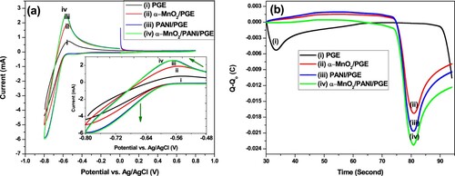 Figure 9. Cyclic voltammogram (a) and the total charge exchanged from the beginning of the experiment, Q–Qo (b) of different catalyst modified electrodes. (i) bare PGE; (ii) α-MnO2/PGE; (iii) PANI/PGE; (iv) α-MnO2/PANI/PGE in 100 mM PBS (pH = 7.4) at a scan rate of50 mV s−1.