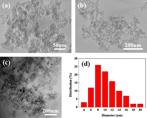 Figure 2. (a) High magnification TEM image of Co-WC/C; (b) low magnification TEM image Co-WC/C; (c) BF-STEM image of Co-WC/C; (d) size distribution of annealed Co-WC/C.
