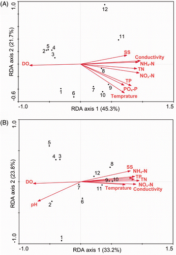Figure 7. The RDA ordination showing the microbial community in the Houxi River in relation to the statistically significant environmental factors (p < 0.05), as revealed by species composition (A) and DGGE fingerprint (B). The numbers indicate the sampling sites.