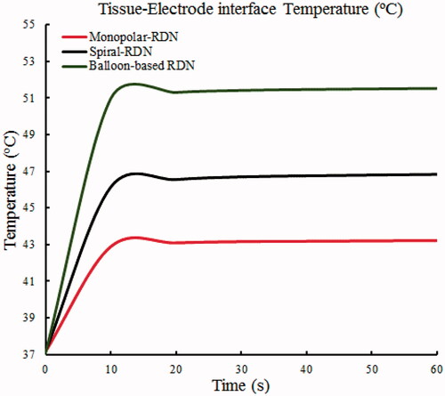 Figure 12. Temperature curves of the tissue-electrode interface.