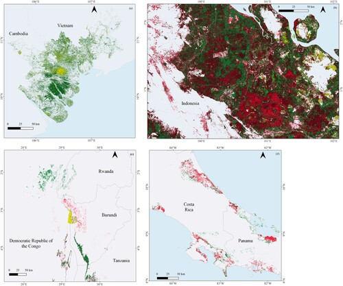 Figure 8. Spatial distribution map of oil palm subclasses in (a) Vietnam, (b) Riau Province, Indonesia, (c) Democratic Republic of the Congo, Rwanda, Burundi, Tanzania, (d) the Costa Rica, Panama.