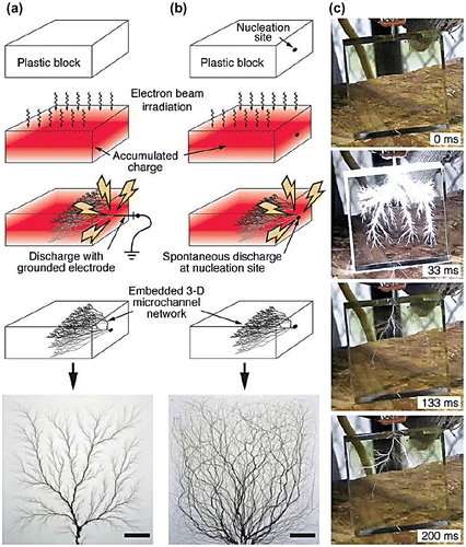 Figure 8. Electrostatic discharge to fabricate vascular patterns (Huang et al., Citation2009).