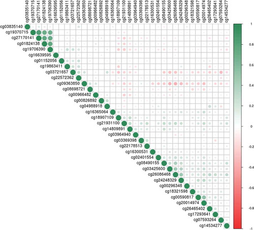 Figure 4. Correlation plot between methylation at the top 36 CpG sites from the meta-analysis EWAS. The shade and scale of the dots represent the magnitude and direction of the correlation between pairs of CpGs