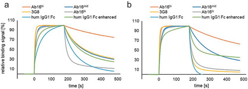 Figure 1. SPR analysis of different anti-CD16 scFv. SPR sensorgrams of normalized relative binding signals of anti-CD16 binding scFv antibodies (Ab16hi, Ab16mid, 3G8, Ab16lo) compared to wildtype IgG1, and engineered human IgG1 Fc (S239D/I332E), enhancing binding to human CD16A-158V (a) and human CD16A-158F (b). Analytes were measured at a single concentration of 312.5 nM.