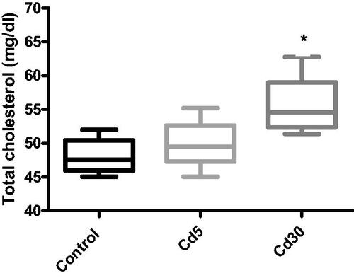 Figure 10. Effect of cadmium on cardiac total cholesterol level. There was an increase in the total cholesterol level in the heart as the dosage of cadmium increase. However, the increase was statistically significant (*p < 0.05) in the Cd30 group when compared with control.