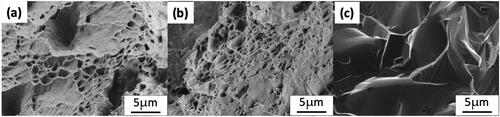 Figure 10. Fractured surfaces for the small punch creep (SPC) specimens for (a) HDSN1 (b) HDSN2 and (c) G91-TMT 600 samples. After (Vivas et al., Citation2020).