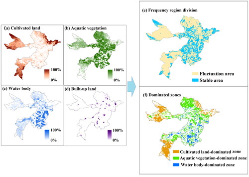 Figure 3. Spatial characteristics of land cover frequency in the Baiyangdian wetland.