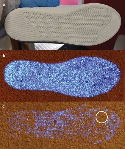 Figure 1. The sole tread of the shoes worn (a); an example stain print left by the shoe after stepping in blood and being sprayed with luminol solution (first step of participant 2 on carpet substrate) (b); and step 17 (step point 2) of the same series, from which DNA was sampled (c). The circled area in C represents the approximate area of the stains sampled for DNA (~4.91cm2).